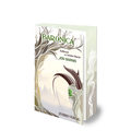 Cover: Baronica - Aufbruch zur Letzten Wacht - Hybrid Verlag