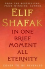 Cover: In One Brief Moment All Eternity - Viking