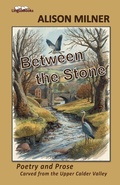 Cover: Between the Stone - LinguaBooks