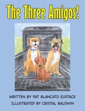 Cover: The Three Amigos! - Freeze Time Media