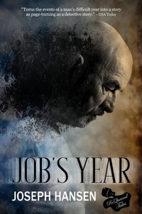 Enlarge image Cover: Job's Year - ReQueered Tales