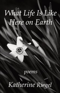 Cover: What Life Is Like Here on Earth - Sheila-Na-Gig Editions