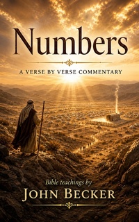 Enlarge image Cover: Numbers - A Verse by Verse Commentary - John Becker