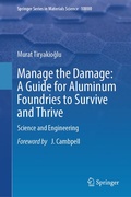 Cover: Manage the Damage: A Guide for Aluminum Foundries to Survive and Thrive - Springer