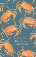Cover: Unter dem Meerwind - Czernin