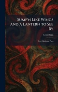 Cover: Sump'n Like Wings and a Lantern to See By - Tradd Street Press