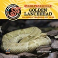 Cover: Golden Lancehead: Is a Highly Venomous Pit Viper - EZ Readers