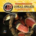 Cover: Coral Snake: South America's Deadly Venomous Snake - EZ Readers