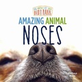 Cover: Amazing Animal Noses - Little Mitchie