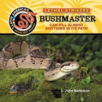 Enlarge image Cover: Bushmaster Snake: Can Kill Almost Anything in Its Path - EZ Readers