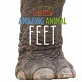 Cover: Amazing Animal Feet - Little Mitchie