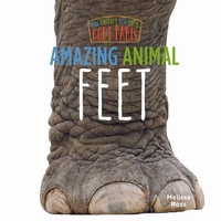 Enlarge image Cover: Amazing Animal Feet - Little Mitchie