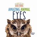 Cover: Amazing Animal Eyes - Little Mitchie