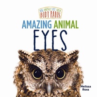Enlarge image Cover: Amazing Animal Eyes - Little Mitchie