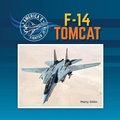 Cover: F-14 Tomcat - Little Mitchie