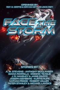 Enlarge image Cover: Face the Storm - Bayonet Books