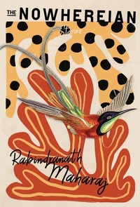 Enlarge image Cover: The Nowhereian - Buckrider Books