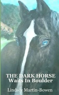 Cover: The Dark Horse Waits in Boulder - WordCrafter Press