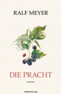 Cover: Die Pracht - Mitteldeutscher Verlag