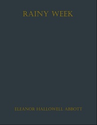 Enlarge image Cover: Rainy Week - neobooks