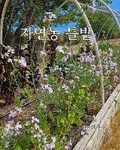 Cover: ??? ?? - Blurb