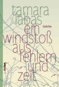 Enlarge image Cover: Ein Windstoß aus Fehlern und Zeit - edition faust