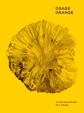 Cover: Antje Majewski & Jen Tiger - Kerber Verlag