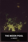 Cover: The Moon Pool - Waking Lion Press
