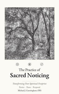 Enlarge image Cover: The Practice of Sacred Noticing - Contemplative Company