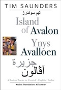 Cover: Island of Avalon / Ynys Avalloen - The Hmm Foundation