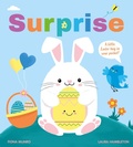 Cover: Surprise - Design Eye
