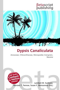 Enlarge image Cover: Dypsis Canaliculata - Omniscriptum