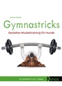 Cover: Gymnastricks - Kynos