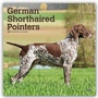 Bild: German Shorthaired Pointers - Deutsch Kurzhaar 2027 - 16-Monatskalender - Brown Trout-Auslieferer Flechsig