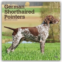 Bild vergrößern Bild: German Shorthaired Pointers - Deutsch Kurzhaar 2027 - 16-Monatskalender - Brown Trout-Auslieferer Flechsig