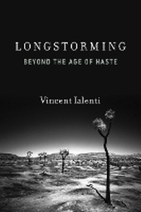 Enlarge image Cover: Longstorming - MIT Press