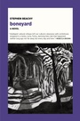 Cover: boneyard - Verse Chorus Press