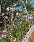 Cover: Natural Farming Raised Bed Gardening - Blurb