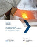 Cover: Energieflexibilit&auml;t in der deutschen Industrie - Fraunhofer Verlag