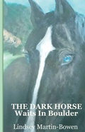 Cover: The Dark Horse Waits in Boulder - WordCrafter Press
