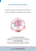 Cover: Molecular aspects of Besnoitia besnoiti-driven bovine neutrophil extracellular trap formation - VVB Laufersweiler Verlag