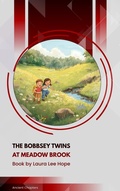 Cover: The Bobbsey Twins at Meadow Brook - Ancient Chapters