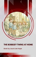 Cover: The Bobbsey Twins at Home - Ancient Chapters