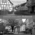 Cover: Ver&auml;nderungen einer Stadtansicht - Muldenkuschler