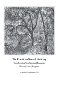 Cover: The Practice of Sacred Noticing - Contemplative Company