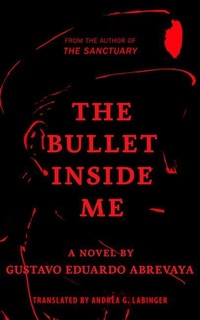 Enlarge image Cover: The Bullet Inside Me - Schaffner Press
