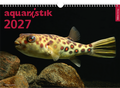 Cover: aquaristik 2027 - D&auml;hne Verlag