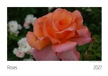 Cover: Roses Kalender 2027 - Scantinental