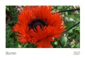 Cover: Blumen Kalender 2027 - Scantinental