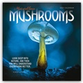 Cover: Mushrooms - Pilze 2027 - Wand-Kalender - Brown Trout-Auslieferer Flechsig